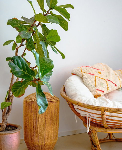 The Olive Boutique Suites And Spa