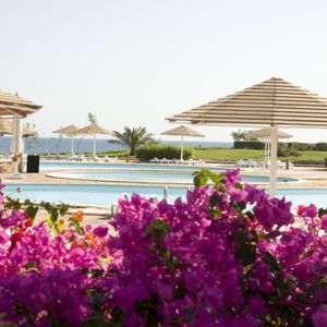 Sejur Three Corners Equinox Beach vacanta Marsa Alam