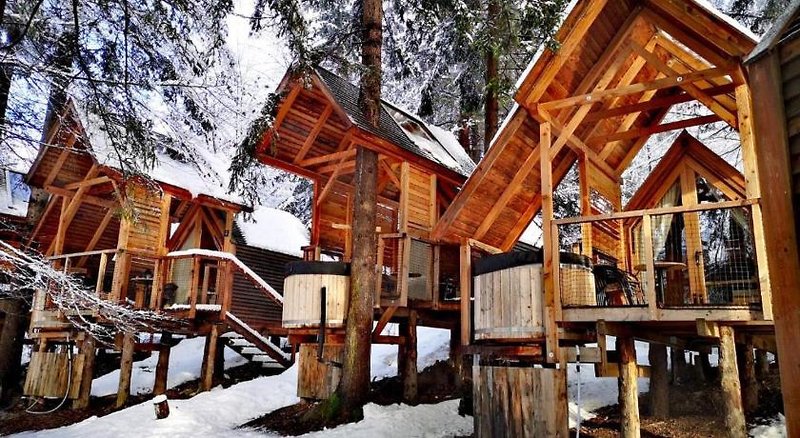 Hotel Ribno Alpine Glamping