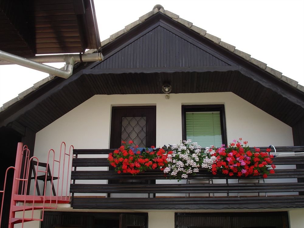 Hotel Apartmaji Vidic- Guest House