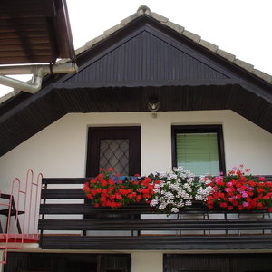 Hotel Apartmaji Vidic- Guest House cazare Bled