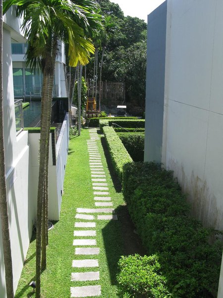 Sugar Palm Grand Hillside