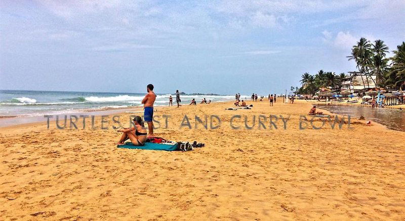 Hotel Curry Bowl Restaurant & Turtles Rest