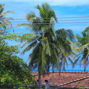 Sejur Aurora Hotel And Restaurant vacanta Hikkaduwa