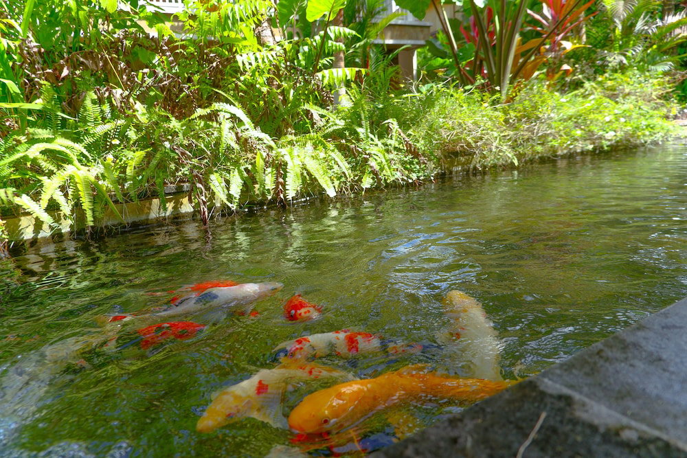 Hotel Garden View
