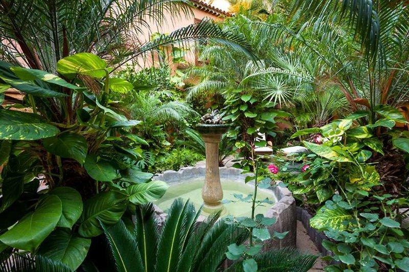 La Quinta Roja