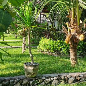 Hotel Nalini Resort cazare Karangasem