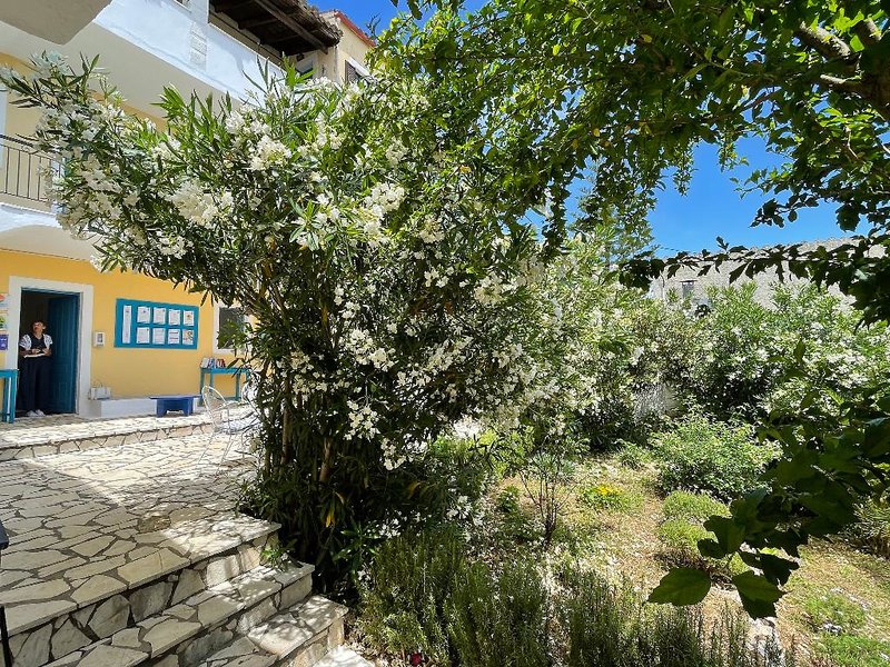 dal travel Sunflower Apartments & Studios