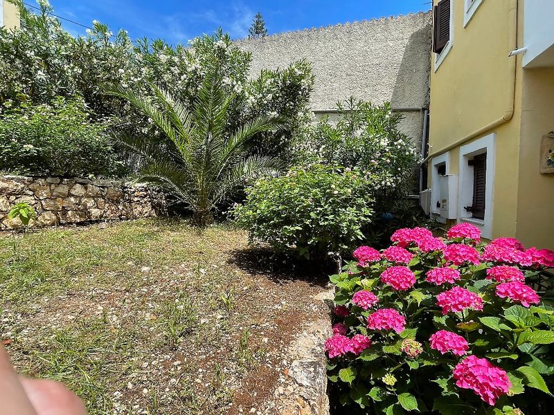dal travel Sunflower Apartments & Studios