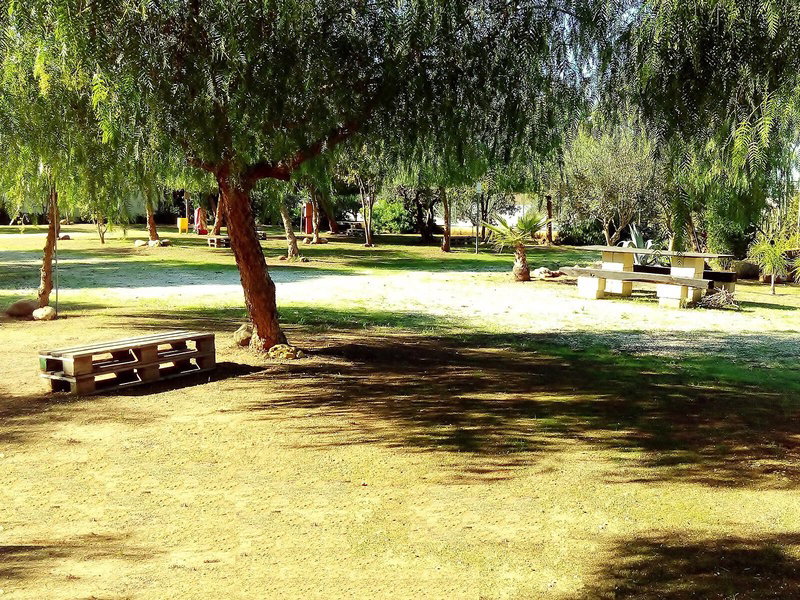 Camping Lilybeo Village