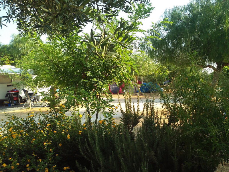 Camping Lilybeo Village