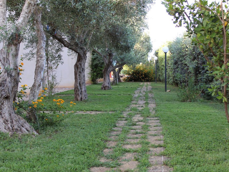 Camping Lilybeo Village