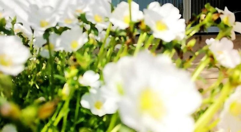 Hotel Hotel Sol De Jávea