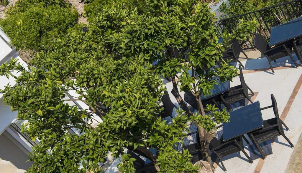 Boutique Hotel Villa Gianlica