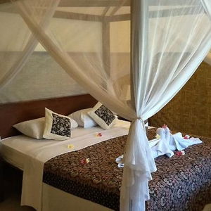 Hotel Frangipani Beach Hotel cazare Lovina Beach