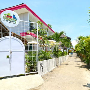Sejur Margarita Surf Hostel vacanta Canggu