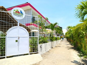 Hotel Margarita Surf Hostel cazare Canggu
