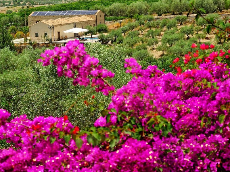 Kallikoros Hotel - Spa & Resort