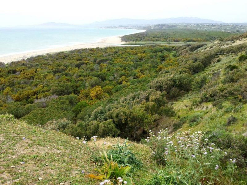 Hotel Hotel Dei Pini