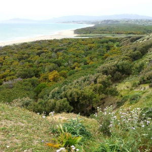 Sejur Hotel Dei Pini vacanta Porto Empedocle