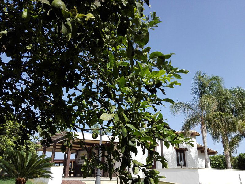 Hotel Agriturismo Terra Dei Limoni