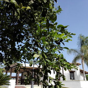 Hotel Agriturismo Terra Dei Limoni cazare Southwest Finland