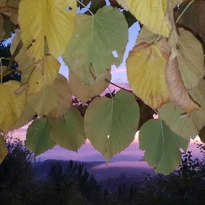 Hotel Panoramic cazare Montepulciano