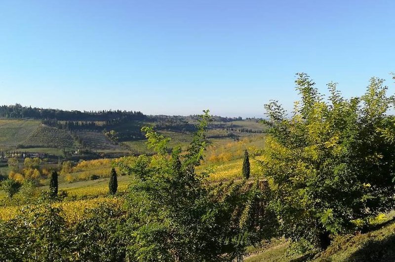 Poderi Arcangelo