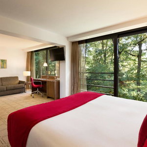 Hotel Hotel Dolce La Hulpe Brussels cazare Bruxelles