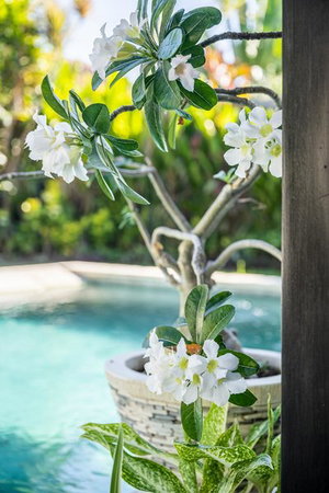 Hotel Jagaditha Villas cazare Denpasar