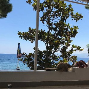 Hotel Riviera Lido cazare Milazzo