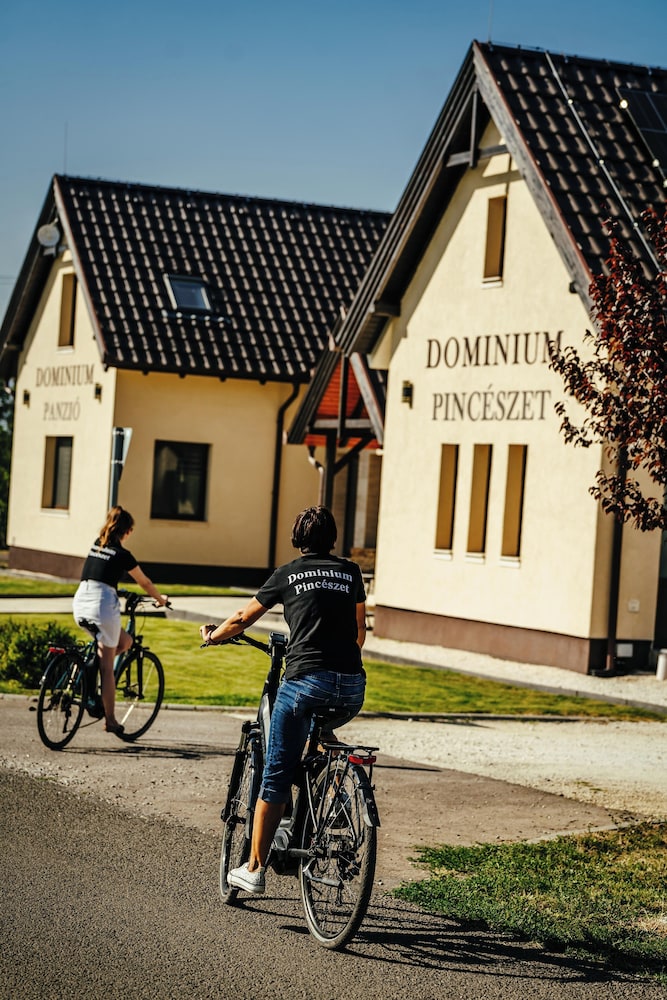 Dominium Pincészet És Panzió
