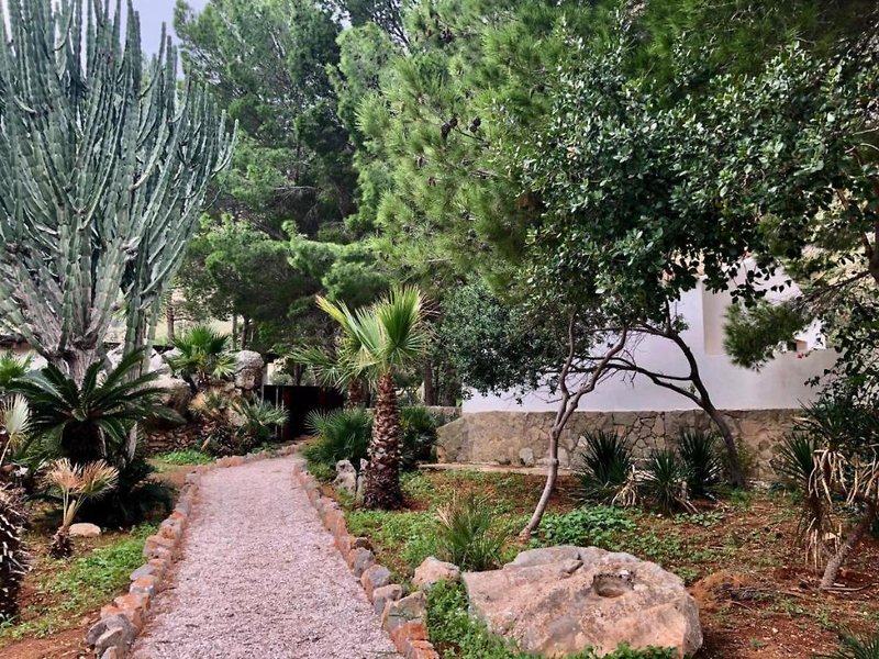 Araja Villa & Suite