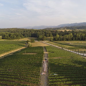 Hotel Palagina La Cascina cazare Figline Valdarno