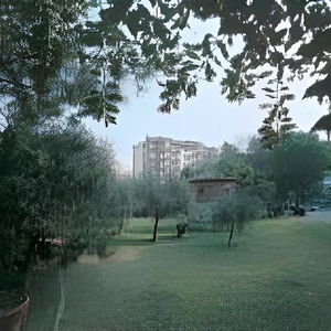 Sejur Auto Park vacanta Indiana