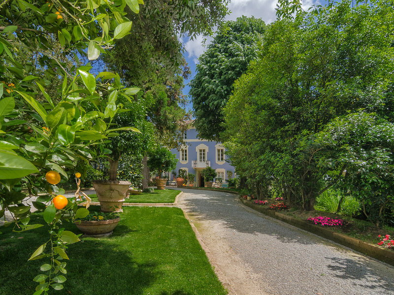 Resort Dei Limoni