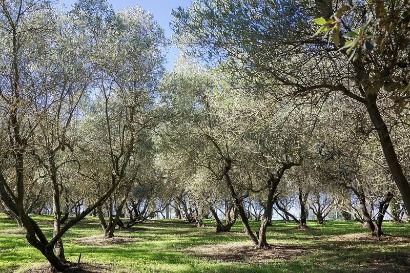 Fattoria Il Milione