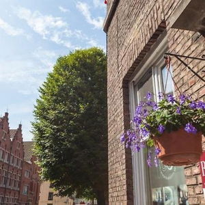Hotel Bed & Breakfast Bariseele cazare Bruges