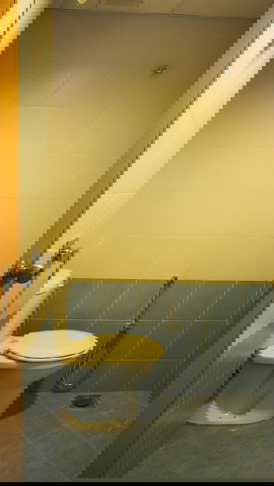 Hotel Leo Palace Hotel