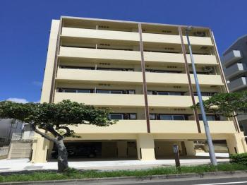 Hotel Mr.kinjo Violette