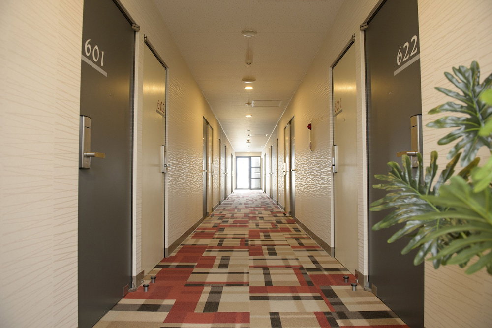 Hotel Hotel Stork