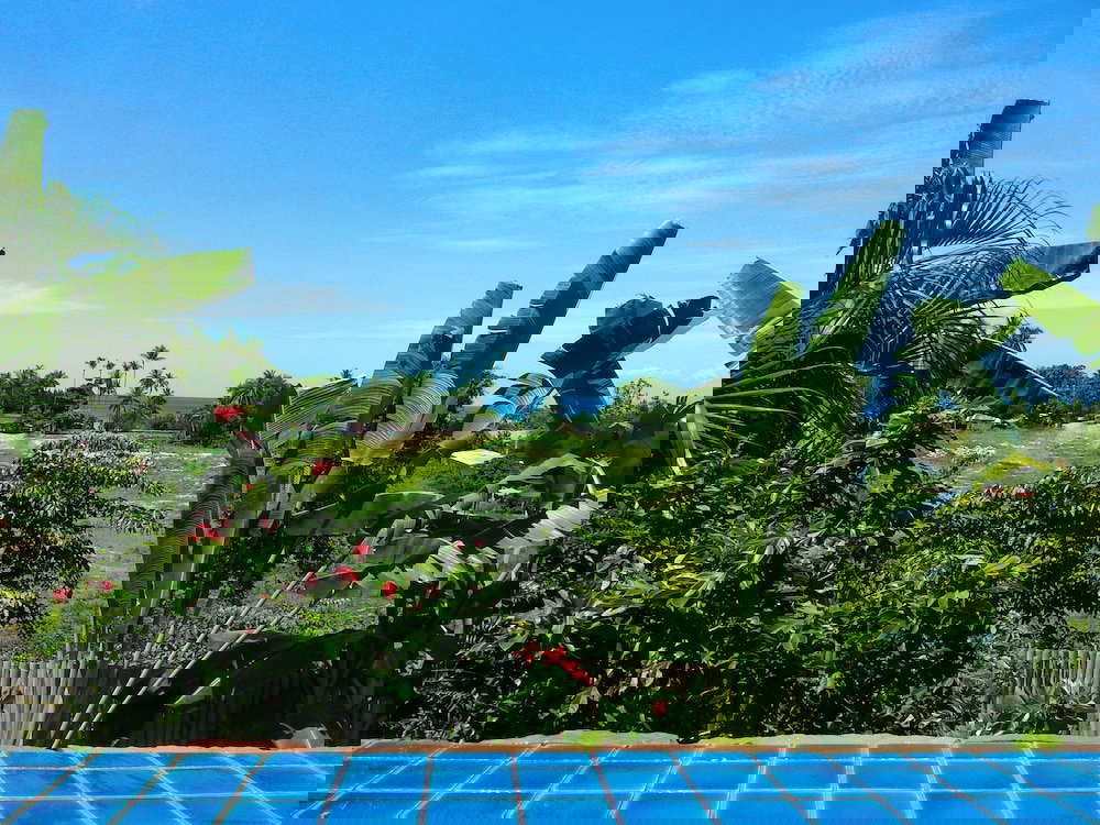 Hotel Pink House Samui