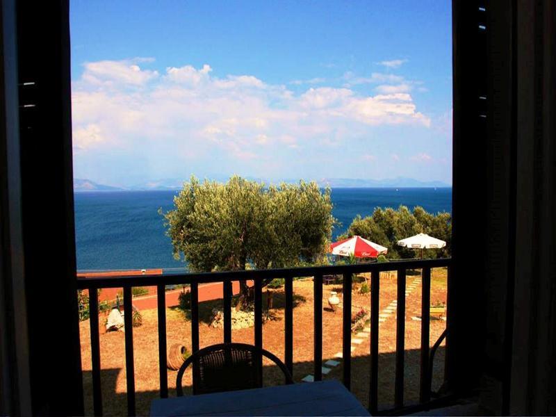 Anasa Corfu