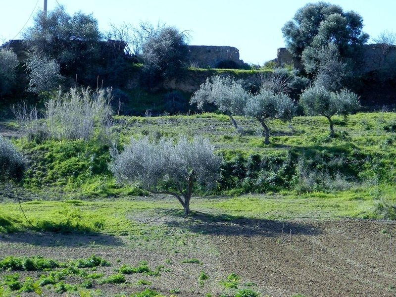 Agriturismo Passo Dei Briganti
