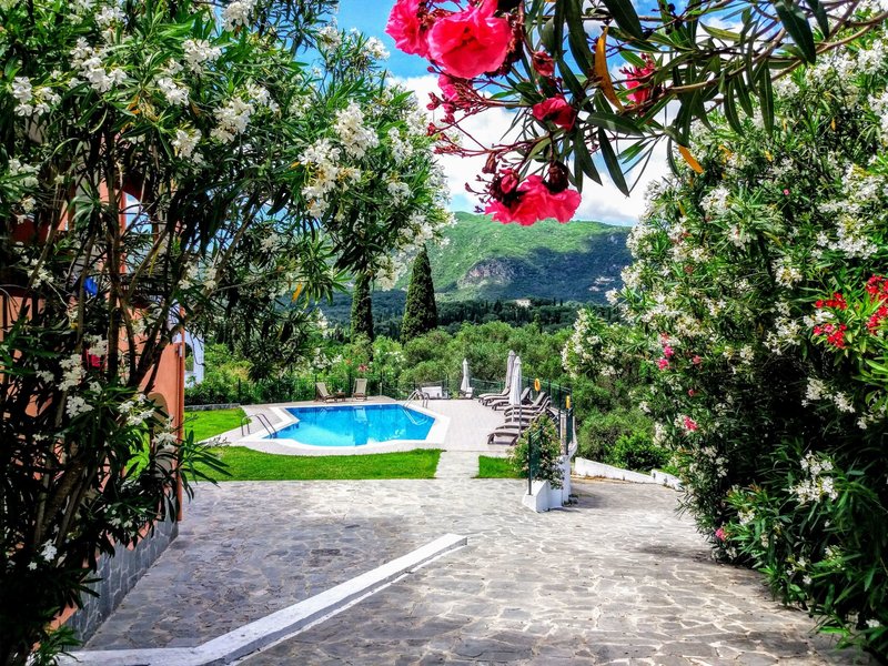 dal travel Ziogas Luxury Apartments