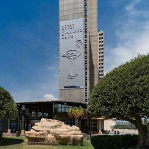 Sejur Flamingo Oasis vacanta Valencia