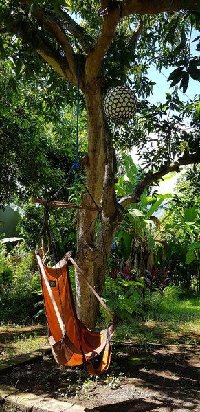 Hotel Mango Tree Inn