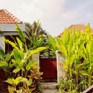 Sejur Pandawa Beach Home Stay vacanta Uluwatu