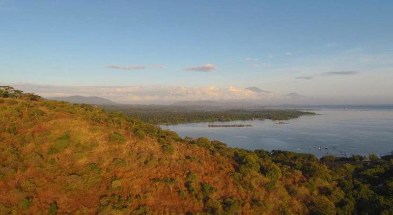 Hotel Tiara Homestay Pemuteran