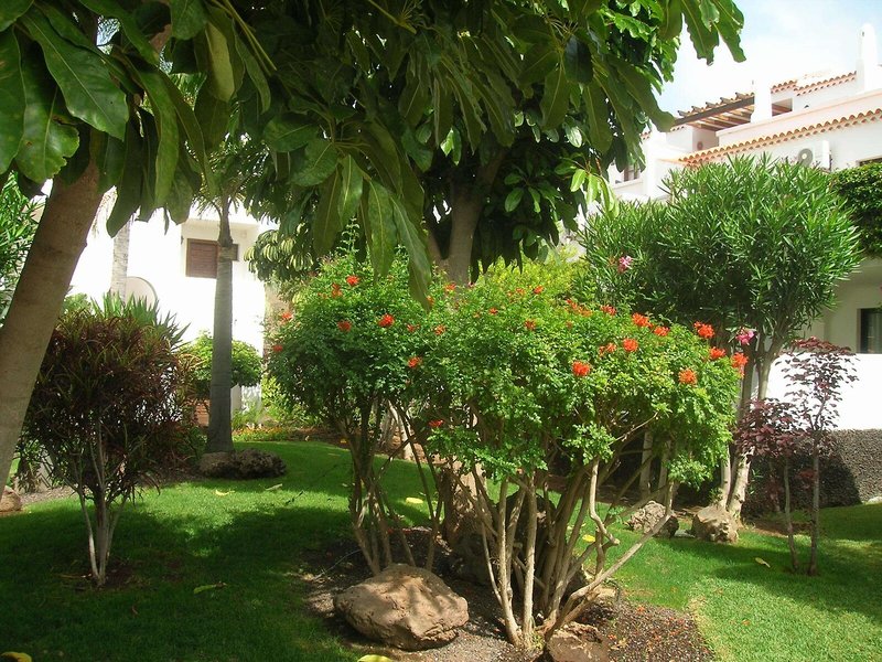 Fairways Club - Amarilla Golf & Country Club